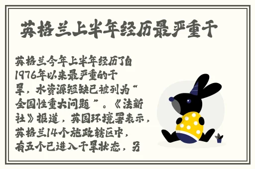 草莓下面湿漉漉